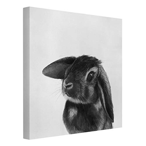 Bilderwelten Leinwandbild Illustration Hase Schwarz Weiß Zeichnung Quadratisch 40 x 40 cm von Bilderwelten