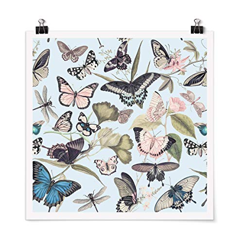 Bilderwelten Poster Collage Schmetterlinge und Libellen Selbstklebend seidenmatt 30x30cm von Bilderwelten