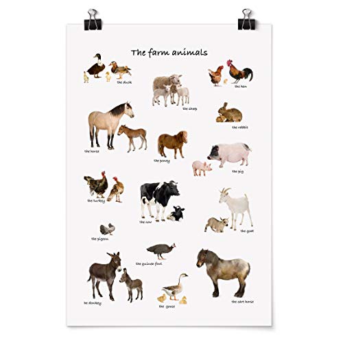 Bilderwelten Poster Galerieprint Wandbild - Farm Animals - Selbstklebend seidenmatt 30 x 20cm von Bilderwelten