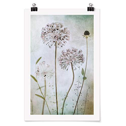 Bilderwelten Poster Galerieprint mit Klammern - Lauchblüten in Pastell - Matt 75 x 50cm Bilderwelten Poster Galerieprint mit Klammern - Lauchblüten in Pastell - Matt 75 x 50cm von Bilderwelten