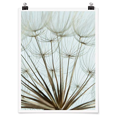 Bilderwelten Poster Kunstdruck Wanddekoration Schöne Pusteblume Makroaufnahme Matt 40 x 30cm von Bilderwelten