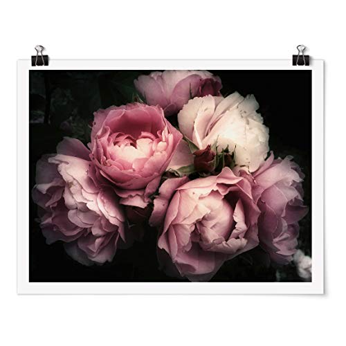 Bilderwelten Poster - Pfingstrosen vor Schwarz Shabby - Selbstklebend seidenmatt 45 x 60cm Bilderwelten Poster - Pfingstrosen vor Schwarz Shabby - Selbstklebend seidenmatt 45 x 60cm von Bilderwelten