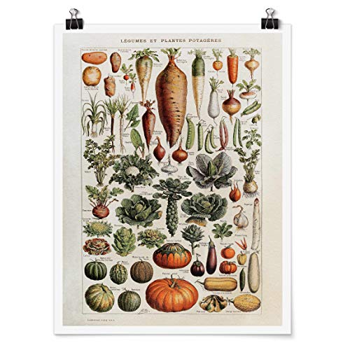 Bilderwelten Poster Vintage Lehrtafel Gemüse Selbstklebend seidenmatt 80x60cm Bilderwelten Poster Vintage Lehrtafel Gemüse Selbstklebend seidenmatt 80x60cm von Bilderwelten