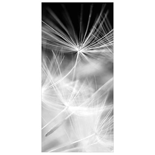 Bilderwelten Raumteiler Pusteblume auf schwarzem Hintergrund 250x120cm + transp. Halterung von Bilderwelten