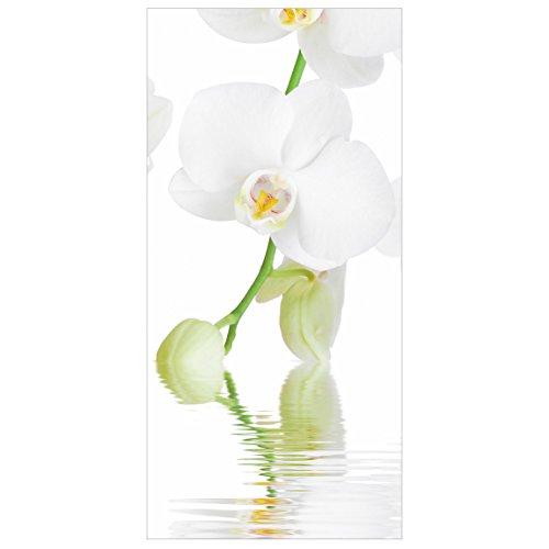 Bilderwelten Raumteiler Top Raumtrenner Orchidee Blumenbild 250x120cm + transp. Halterung von Bilderwelten
