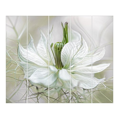 Bilderwelten Schiebegardinen Weiße Nigella - 5 Flächenvorhänge Ohne Aufhängung 5X 250x60cm von Bilderwelten