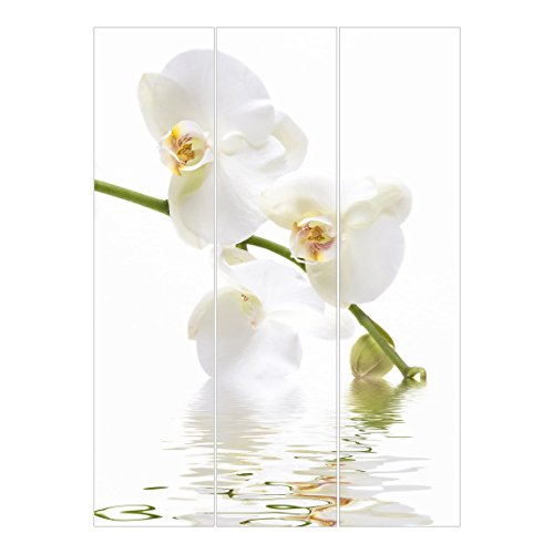 Bilderwelten Schiebegardinen White Orchid Waters Flächenvorhang Wandhalterung 3X 250 x 60cm von Bilderwelten