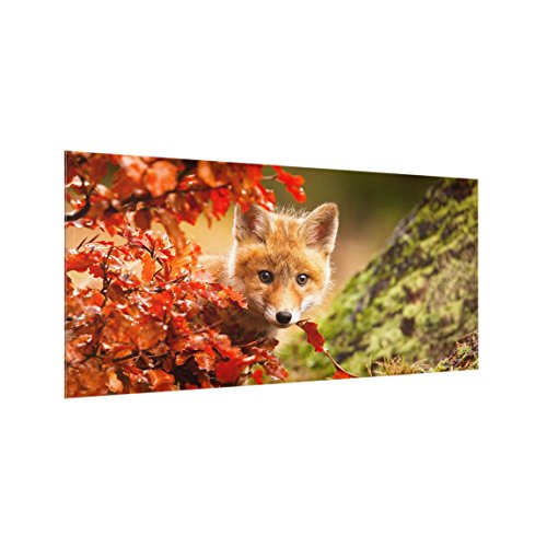 Bilderwelten Spritzschutz Glas - Fuchs im Herbst - Quer 1:2, HxB: 40cm x 80cm von Bilderwelten