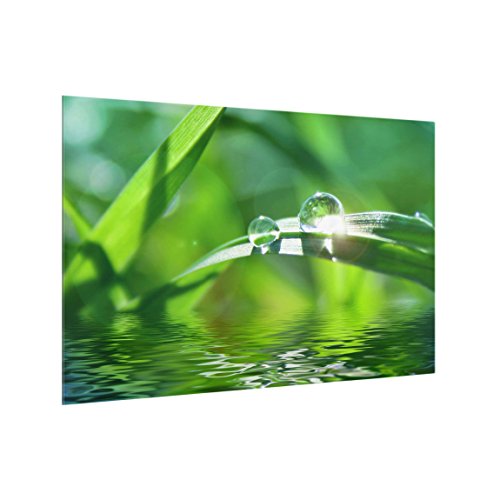 Bilderwelten Spritzschutz Glas - Green Ambiance II - Quer 2:3, HxB: 40cm x 60cm von Bilderwelten