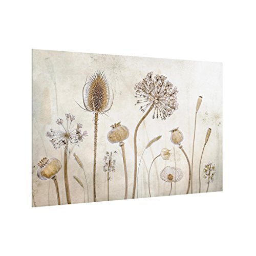 Bilderwelten Spritzschutz Glas - Growing Old - Quer 2:3, HxB: 40cm x 60cm von Bilderwelten