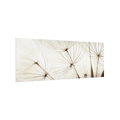 Bilderwelten Spritzschutz Glas - Sanfte Gräser - Panorama Quer, HxB: 50cm x 125cm von Bilderwelten