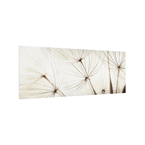 Bilderwelten Spritzschutz Glas - Sanfte Gräser - Panorama Quer, HxB: 50cm x 125cm von Bilderwelten