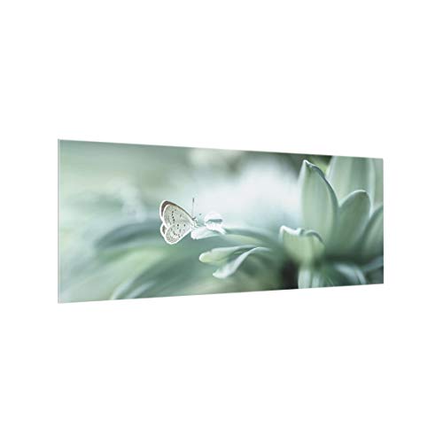 Bilderwelten Spritzschutz Glas Schmetterling & Tautropfen in Pastellgrün Panorama, 40x100 cm von Bilderwelten