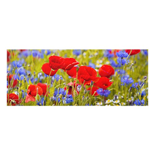 Bilderwelten Spritzschutz Glas Sommerwiese mit Mohn und Kornblumen Panorama 40 x 100cm von Bilderwelten