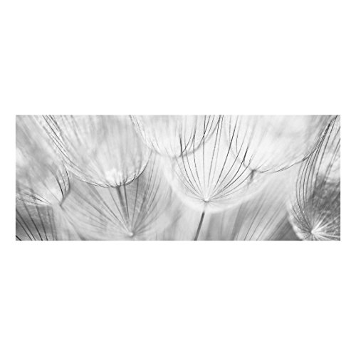 Bilderwelten Top Blumen Glasbilder Wandbild Kunstdruck 40 x 100 cm Pusteblume schwarz weiß von Bilderwelten