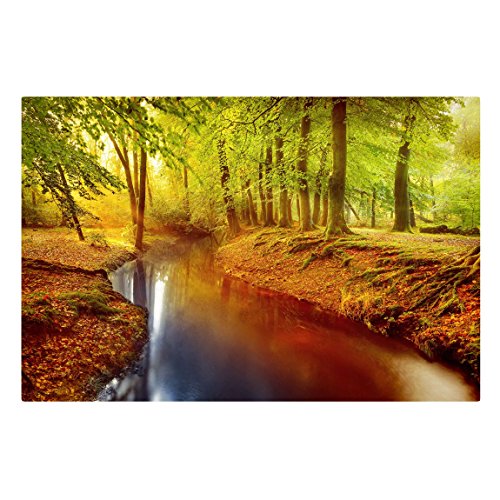 Bilderwelten Top Leinwandbilder Natur Format Quer Quer 2:3, 40 x 60cm, Herbstwald von Bilderwelten
