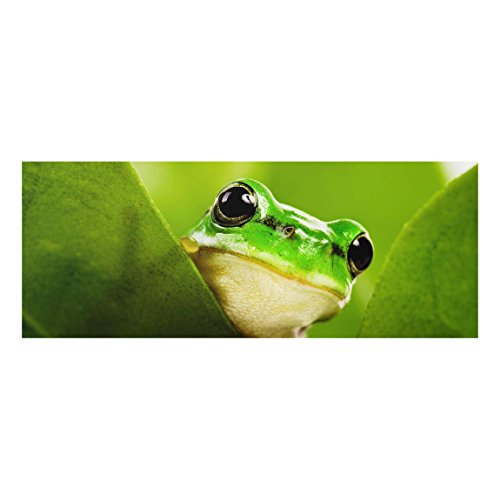 Bilderwelten Top Tiere Glasbilder Wandbild Foto Kunstdruck 30 x 80 cm, Wetterfrosch von Bilderwelten