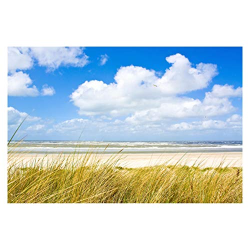 Bilderwelten Vlies Fototapete Strand An der Nordseeküste Tapete Selbstklebend 290x432cm von Bilderwelten