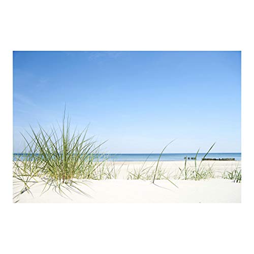 Bilderwelten Vlies Fototapete Strand Ostseeküste Tapete Selbstklebend 225x336cm von Bilderwelten
