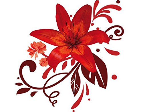 Bilderwelten Wandtattoo Lilie No.BP7 Lilientraum red, Größe HxB:21cm x 21cm von Apalis