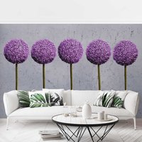 Fototapete Blumen - Allium Kugel-Blüten - Vliestapete Breit Größe HxB: 190cm x 288cm von MICASIA