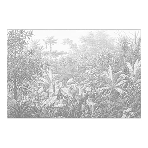 Fototapete - Dschungel Kupferstich, Material: Vlies Selbstklebend, Größe HxB: 225x336 cm von Bilderwelten