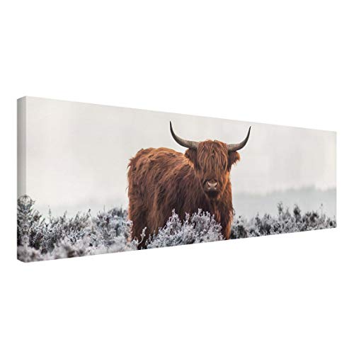 Leinwandbild - Bison in den Highlands Panorama Bild auf Leinwand 60x180 cm von Bilderwelten