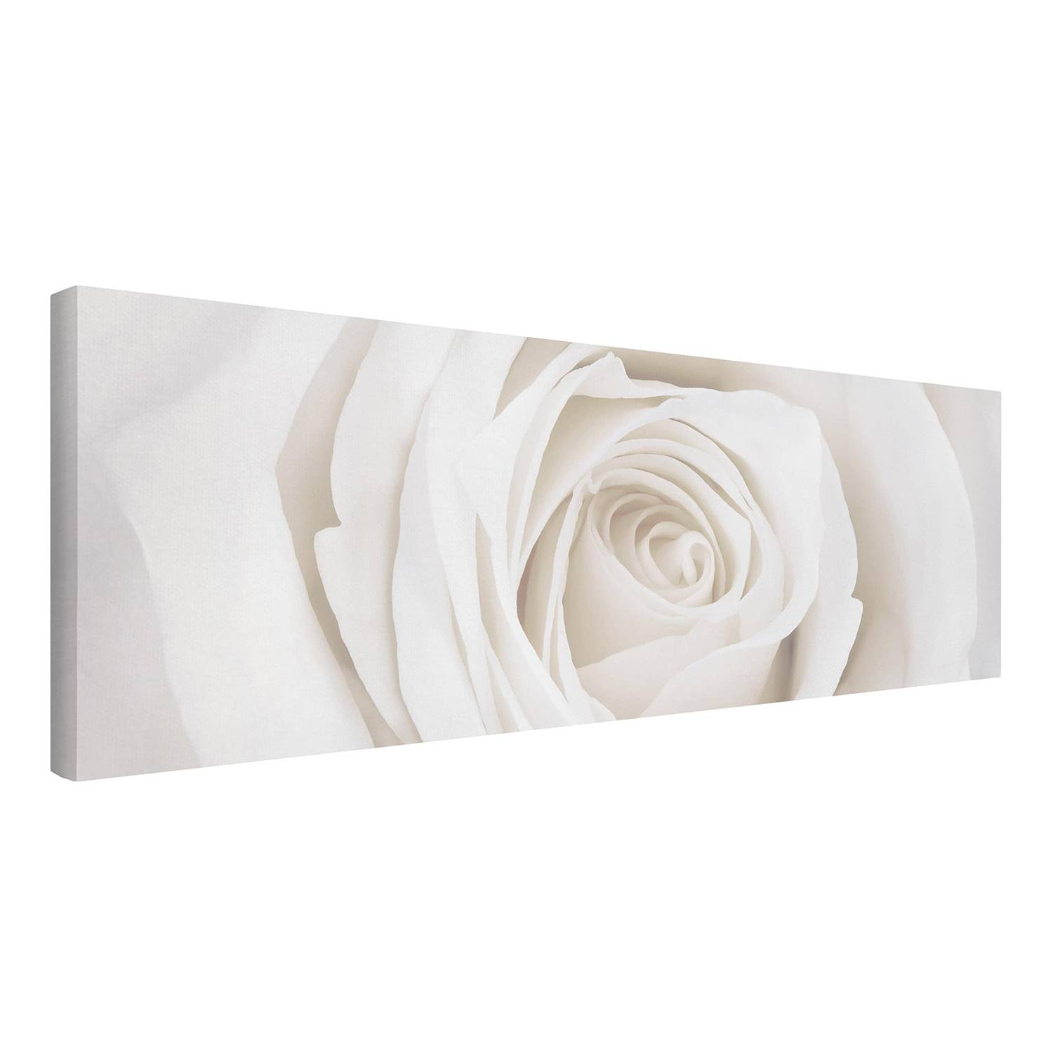 home24 Leinwandbild Pretty White Rose II Kunststoffart: Polyethylen Material: Kunststoff Motiv: Blumen Muster: mit Motiv Weiß 150cm von home24