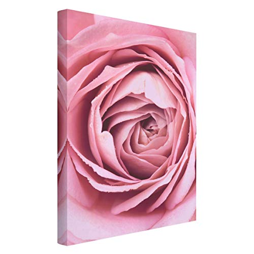 Leinwandbild - Rosa Rosenblüte Bild auf Leinwand Hochformat 60 x 40 cm von Bilderwelten