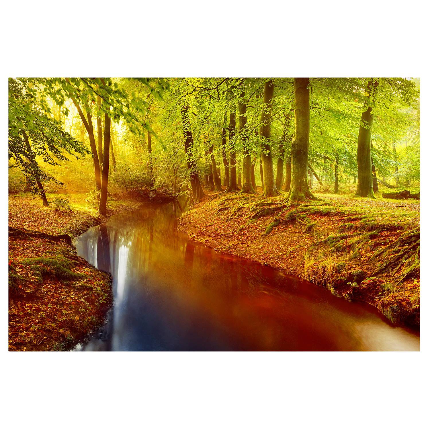 Magnettafel Herbstwald von Bilderwelten