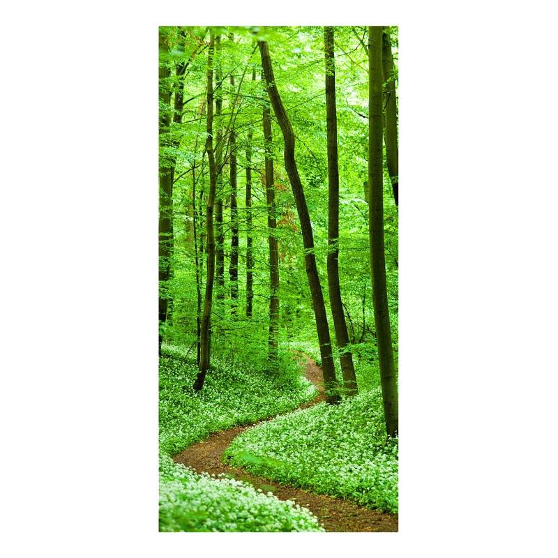 Magnettafel Romantischer Waldweg von Bilderwelten