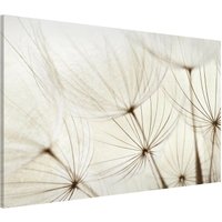 Magnettafel - Sanfte Gräser - Memoboard Quer Größe HxB: 60cm x 90cm von MICASIA