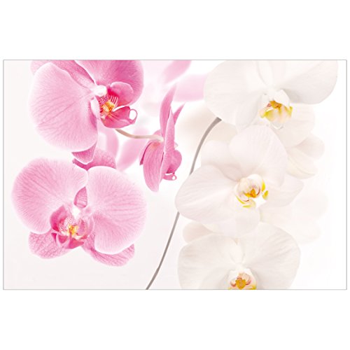 Orchideenbild Fensterfolie Sichtschutz Bild Delicate Orchids Blumen 10x16cm von Bilderwelten
