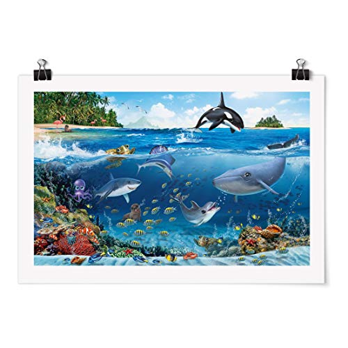 Poster Kinderzimmer Animal Club Int. - Unterwasserwelt mit Tieren - Matt 30x45cm Poster Kinderzimmer Animal Club Int. - Unterwasserwelt mit Tieren - Matt 30x45cm von Bilderwelten