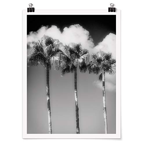 Poster Palmen vor Himmel Schwarz-Weiß Hochformat 4:3 Matt 80 x 60cm von Bilderwelten