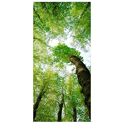 Raumteiler Bäume des Lebens 250x120cm inkl. transparenter Halterung von Bilderwelten
