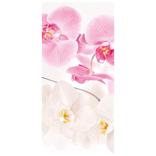 Raumteiler Top Blumen Raumtrenner Orchideen Bild 250x120cm ohne Halterung von Bilderwelten