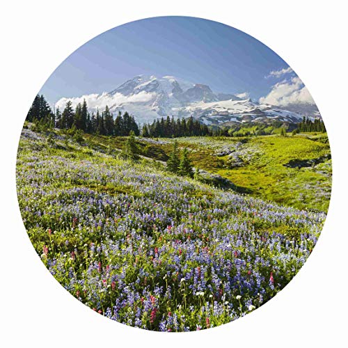 Runde Tapete selbstklebend Bergwiese mit Blumen vor Mt. Rainier 75x75cm von Bilderwelten