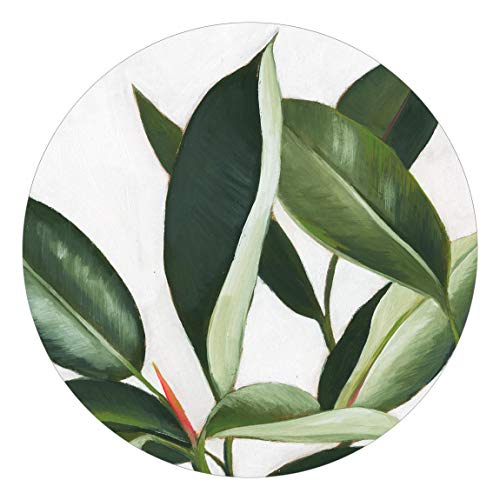 Bilderwelten Runde Tapete selbstklebend Lieblingspflanzen Gummibaum 100x100cm von Bilderwelten