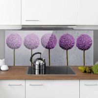Spritzschutz Glas - Allium Kugel-Blüten - Panorama Quer Größe HxB: 40cm x 100cm von MICASIA