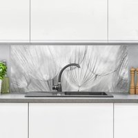 Micasia - Spritzschutz Glas - Pusteblumen Makroaufnahme in schwarz weiß - Panorama Quer Größe HxB: 40cm x 100cm von MICASIA
