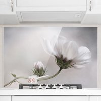 Spritzschutz Glas - Simply Cosmos - Quer 2:3 Größe HxB: 59cm x 90cm von MICASIA