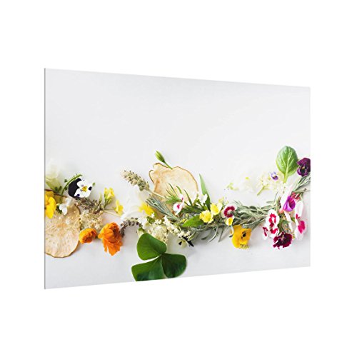 Spritzschutz Glas für Küche & Herd 40 cm x 60 cm Frische Kräuter Bild-Motiv von Bilderwelten