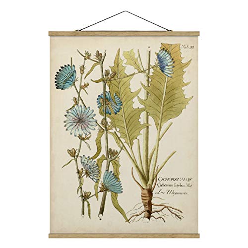 Stoffbild Poster Vintage Botanik Blau Wegwarte Hochformat 4:3 66.4x50cm Eiche von Bilderwelten