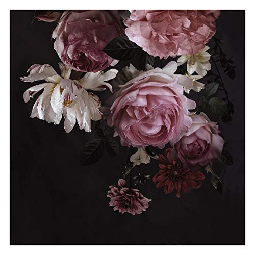 Tapete selbstklebend - Rosa Blumen auf Schwarz Fototapete, 288cm x 288cm von Bilderwelten