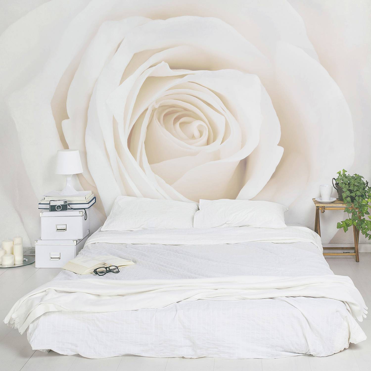 Vliestapete Pretty White Rose von Bilderwelten