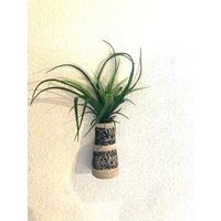Handgemachte Wandvase Aus Keramik Mit Bambus-Blattdekor Für Tillandsien Oder Kleine Trockensträuße Handgemachte Wandvase Aus Keramik Mit Bambus-Blattdekor Für Tillandsien Oder Kleine Trockensträuße von BildundObjektShop