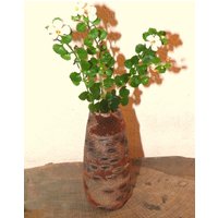 Vase Aus Einem Banksia-Zapfen Gedrechselt von BildundObjektShop