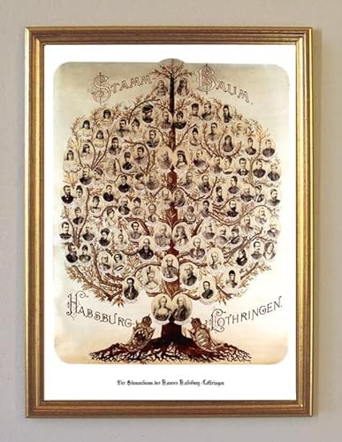 Biller Antik Stammbaum des Hauses Habsburg - Lothringen Sisi Rudolph Maria K&K 76 Gerahmt von Biller Antik