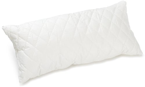 Billerbeck 5453290005 Naturkissen E45 Bamboo Kissen, 40 / 80 cm champagner Billerbeck 5453290005 Naturkissen E45 Bamboo Kissen, 40 / 80 cm champagner von Billerbeck